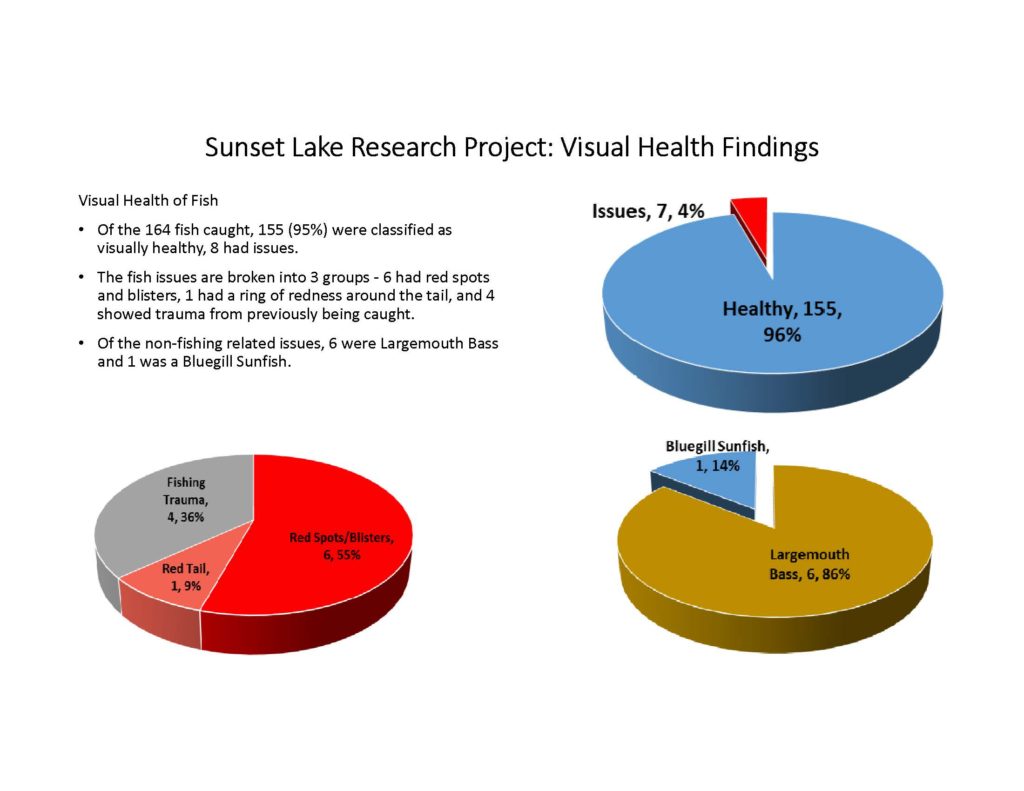 fish-of-sunset-lake-research-project_page_04